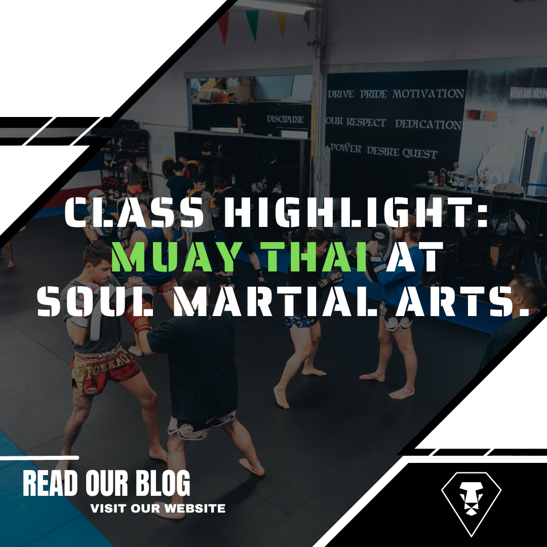 Class Highlight: Muay Thai at Soul Martial Arts in Markham and Vaughan, Ontario.